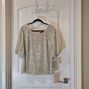 Alex Evenings Shimmering Silver Sequin Top